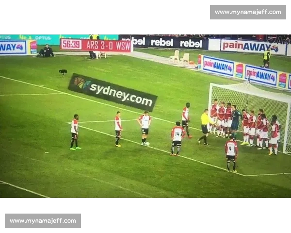 从越位到红黄牌全面解读现代足球比赛规则演变与裁判执法逻辑